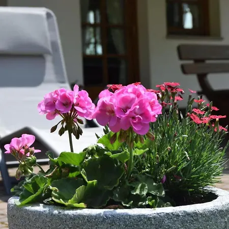 Haus Ruf - Paradiesblick شقة