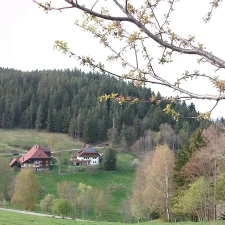 Haus Ruf - Paradiesblick *